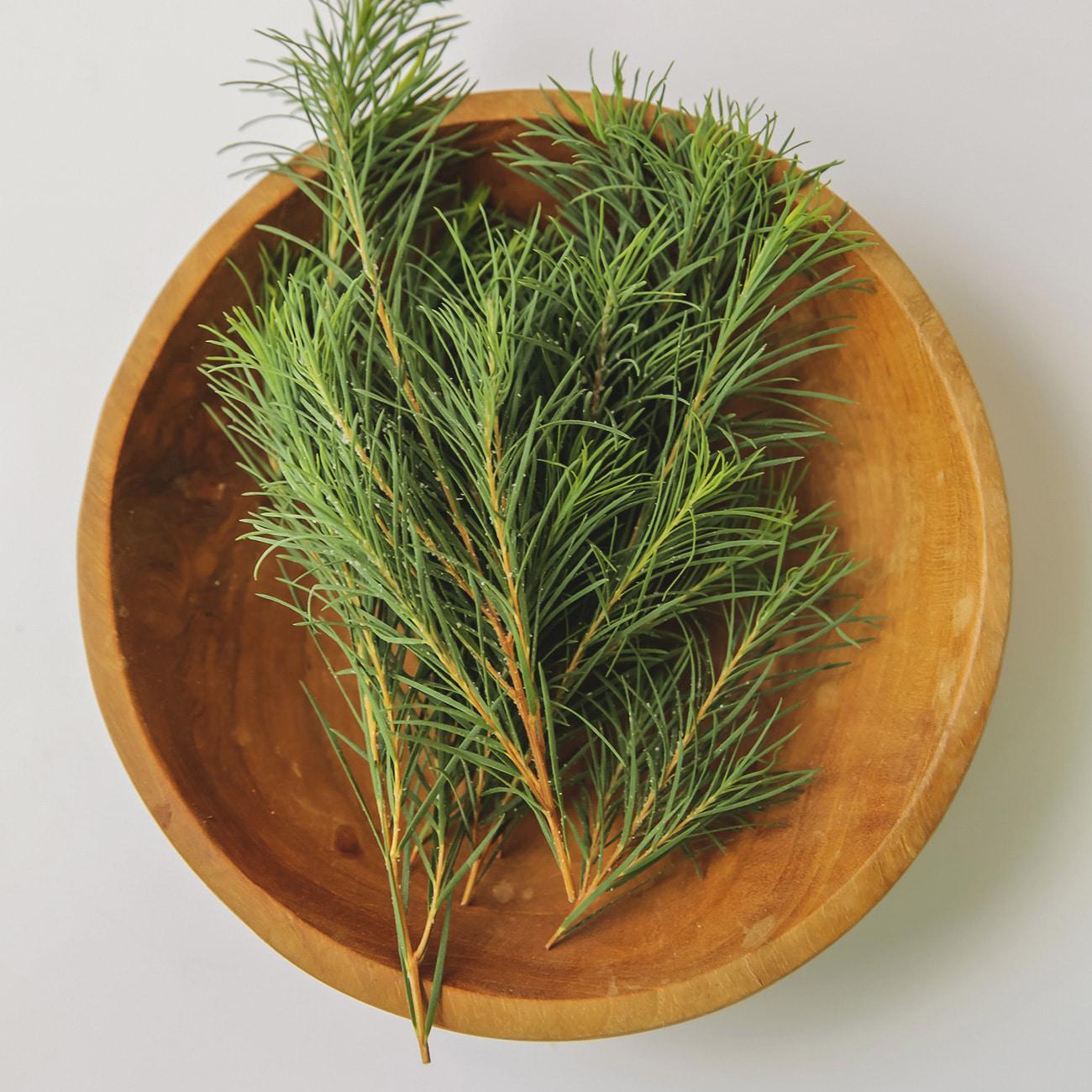 AROMATICA - Mousse Nettoyante Équilibrante au Tea Tree (180 ml)